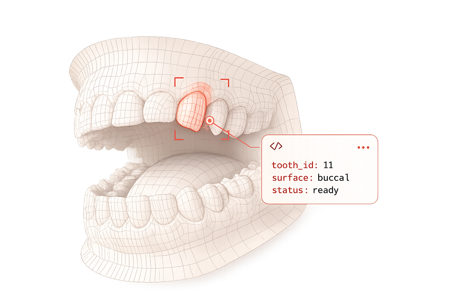 Odus dental production illustration